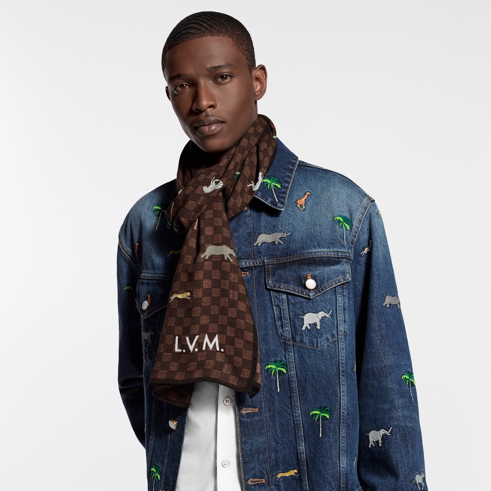 LV x The Darjeling Limited Damier Stole S00 - Accessories | LOUIS